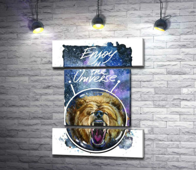 Медведь в шлеме космонавта с надписью "Enjoy the Universe"