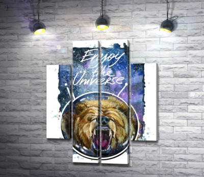 Медведь в шлеме космонавта с надписью "Enjoy the Universe"