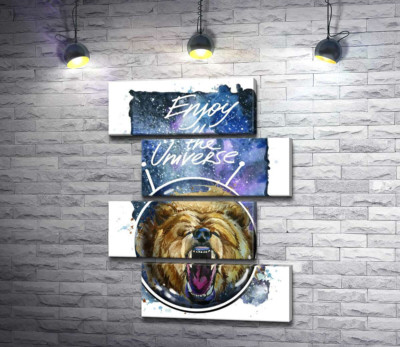 Медведь в шлеме космонавта с надписью "Enjoy the Universe"
