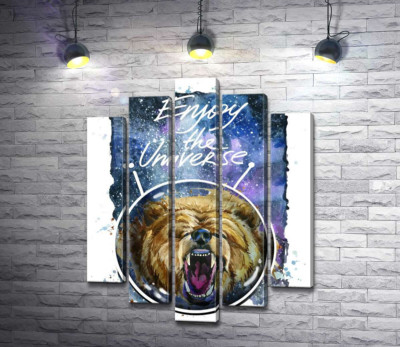 Ведмідь в шоломі космонавта з написом "Enjoy the Universe"