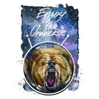 Медведь в шлеме космонавта с надписью "Enjoy the Universe"