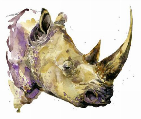 Акварельний профіль носорога