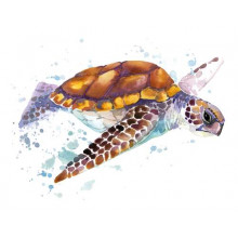 Морская черепаха спокойно плывет мимо
