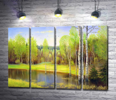 Тонкие стволы берез растут в болотистой воде