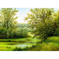 Пышные кусты ивы склонились над зеленой водой реки