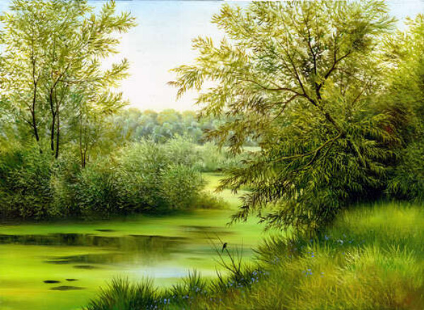 Пышные кусты ивы склонились над зеленой водой реки