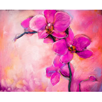 Пышное цветение розовых орхидей
