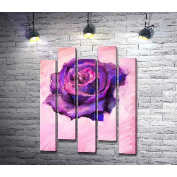 Фиолетовая пышность цветка розы