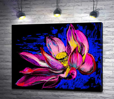 Розовый цветок кувшинки раскрывает лепестки над водой