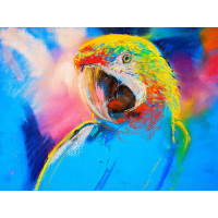 Голубая яркость оперения попугая ара