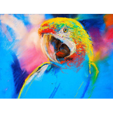 Блакитна яскравість оперення папуги ара