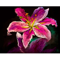 Розовый оттенок лепестков тигровой лилии