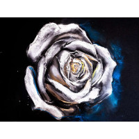 Серые оттенки белых лепестков розы