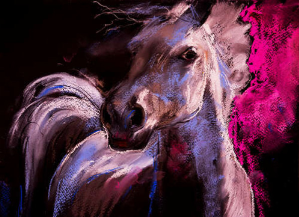 Розовые цвета отражаются на белой шерсти коня