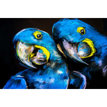 Влюбленная пара голубых попугаев
