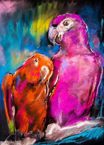 Розовый и красный попугаи сидят на ветке
