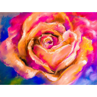 Кремово-рожеве поєднання кольорів на пелюстках троянди