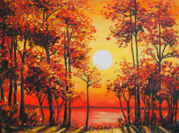 Червоний захід сонця підсвічує осінні дерева