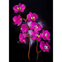 Изысканные ветви розовых орхидей