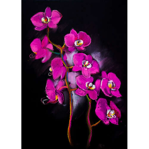 Вишукані гілки рожевих орхідей