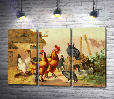 Домашние птицы, куры, утки и цесарка, гуляют по двору