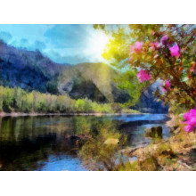 Цветущий куст на берегу горной реки