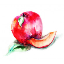 Акварельный рисунок яблока