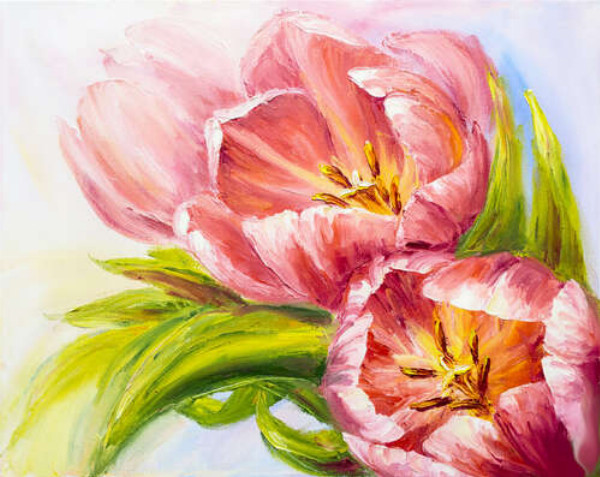 Розовые лепестки оберегают золотые серединки весенних тюльпанов