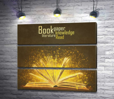 Золоті іскри знань літають між сторінками книги