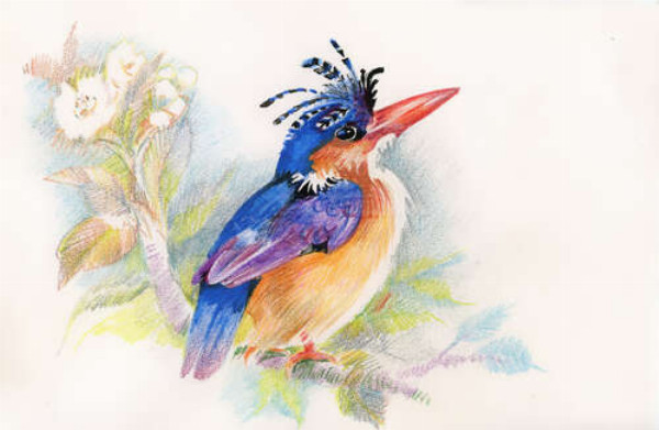 Синій птах рибалочка сидить на квітучій гілці