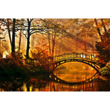 Изысканный мост соединяет берега в осеннем лесу