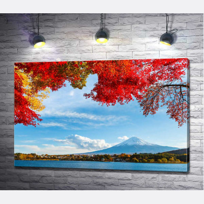 Вид на гору Фудзі (Mount Fuji) з тіні осінніх дерев 
