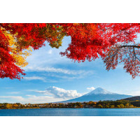 Вид на гору Фудзи (Mount Fuji) из тени осенних деревьев