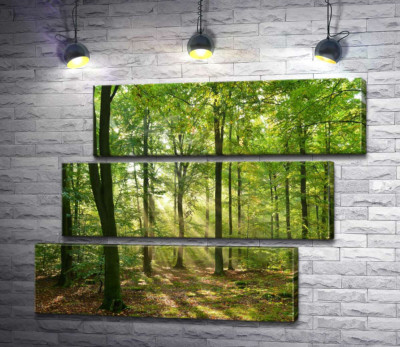 Модульная картина "Летний день в тени лесных деревьев"