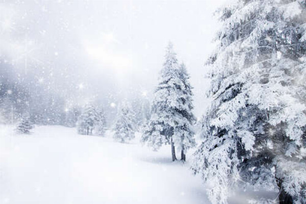 Белые елки стоят среди снежной метели