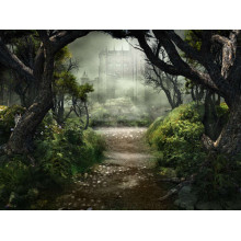 Дорога через темный лес к туманному замку
