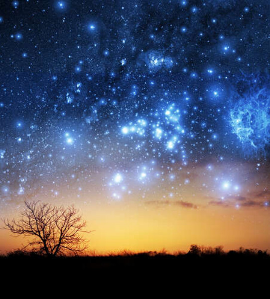 Яркие звезды сияют на вечернем небе
