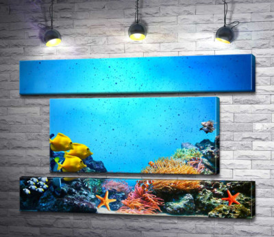 Модульная картина "Морские жители плавают среди кораллов на дне океана"