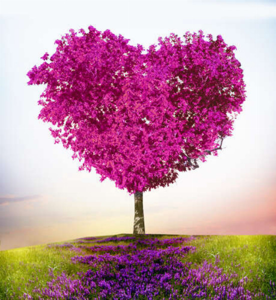 Романтическое дерево любви