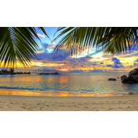 Вид на вечерний тропический пляж из тени пальмовых листьев