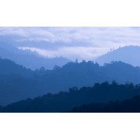 Туманные силуэты лесных холмов