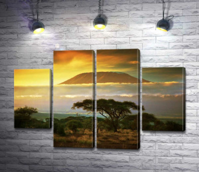 Вид на гору Килиманджаро (Kilimanjaro) из саванны