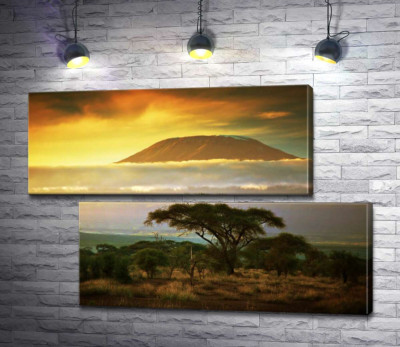 Вид на гору Килиманджаро (Kilimanjaro) из саванны