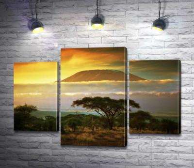 Модульная картина "Вид на гору Килиманджаро (Kilimanjaro) из саванны"