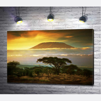 Вид на гору Кіліманджаро (Kilimanjaro) із савани