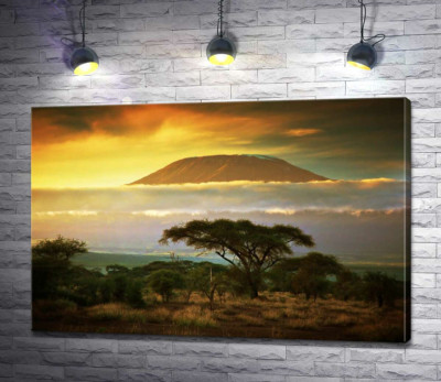 Вид на гору Килиманджаро (Kilimanjaro) из саванны