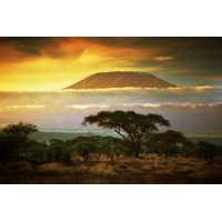 Вид на гору Килиманджаро (Kilimanjaro) из саванны