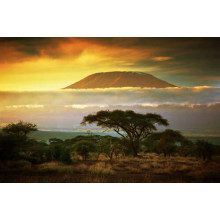 Вид на гору Килиманджаро (Kilimanjaro) из саванны