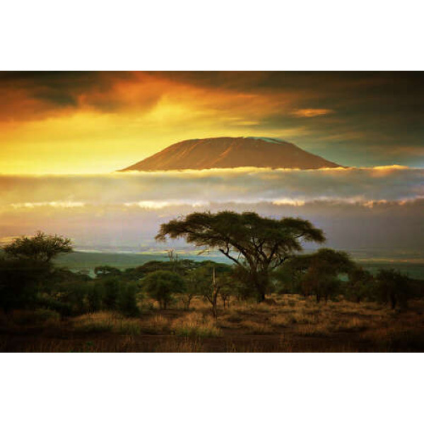 Вид на гору Кіліманджаро (Kilimanjaro) із савани