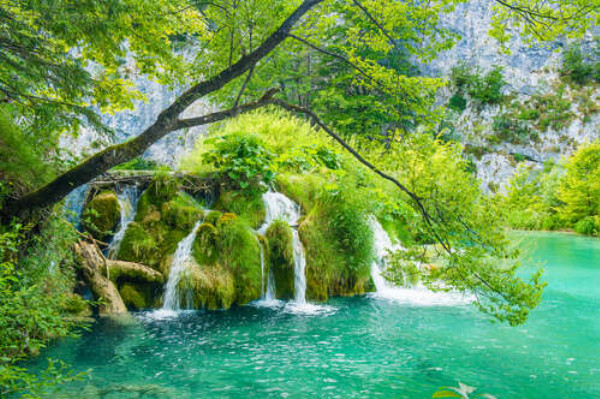 Маленький водопад оброс зеленым мхом
